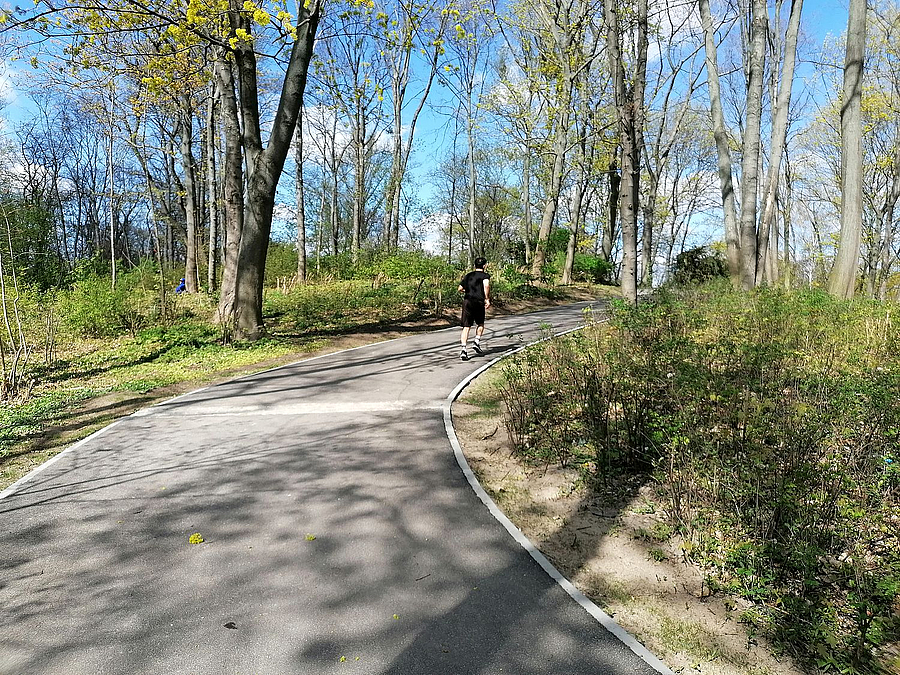 Abschüssiger Asphaltweg mit Kurve und Querrinne, frühlingshaftes Grün