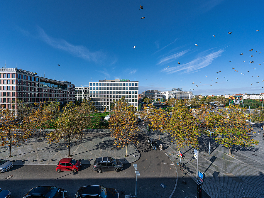 Blick von oben auf gepflasterten Platz mit herbstlichen Bäumen, Straße und Geschäftsquartier