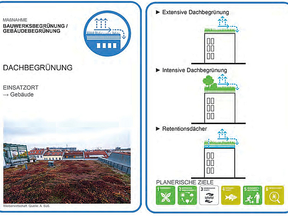 2 Karten mit Foto und Schema dreier Möglichkeiten der Dachbegrünung