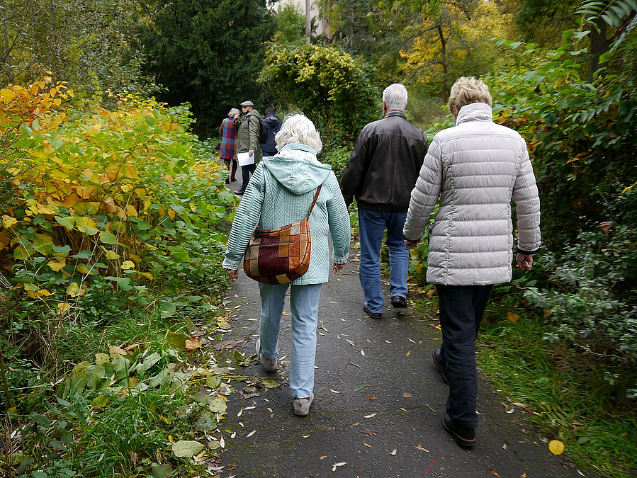 Ältere Menschen auf schmalem, zuwucherndem Weg