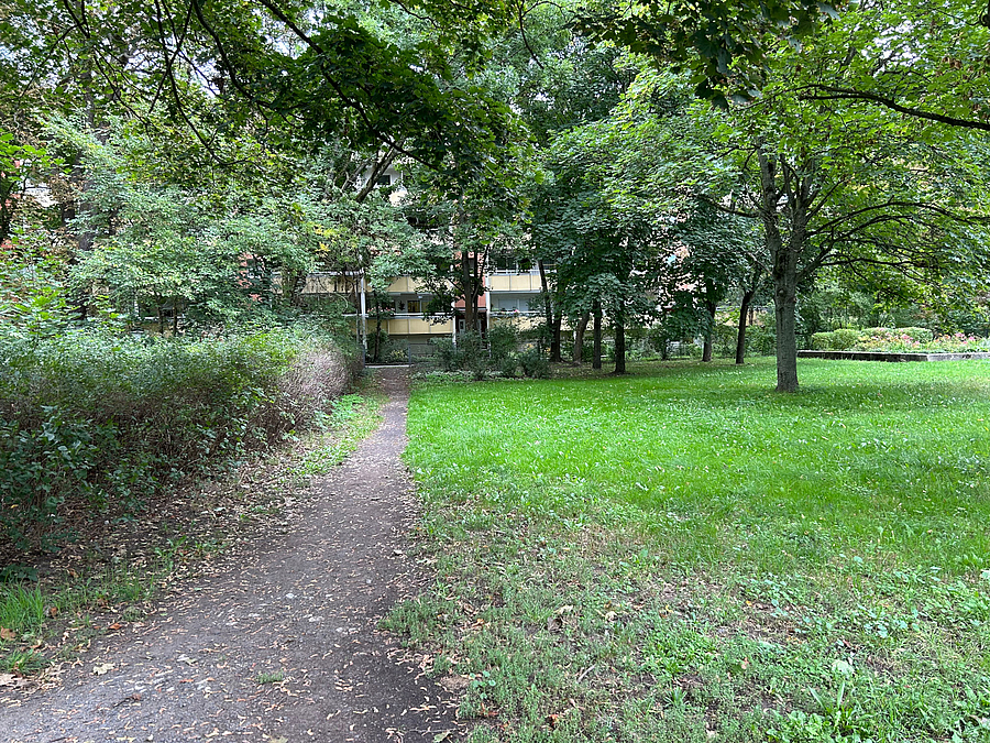 Unbefestigter Weg entlang einer Hecke am Rand der Grünfläche