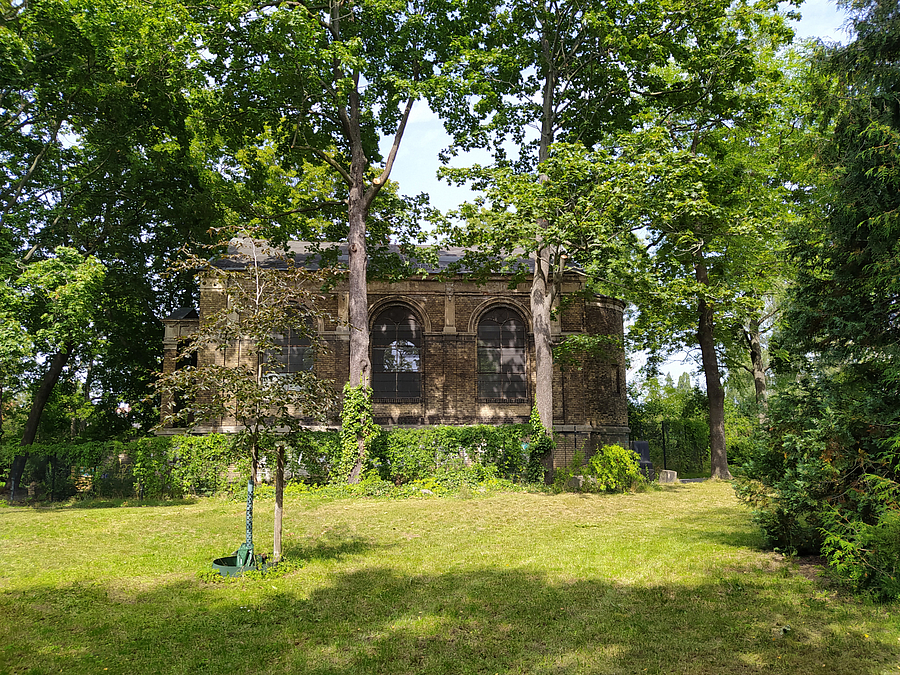 Kirchliches Gebäude im Park hinter Bäumen, neu gepflanzter Baum auf Wiese