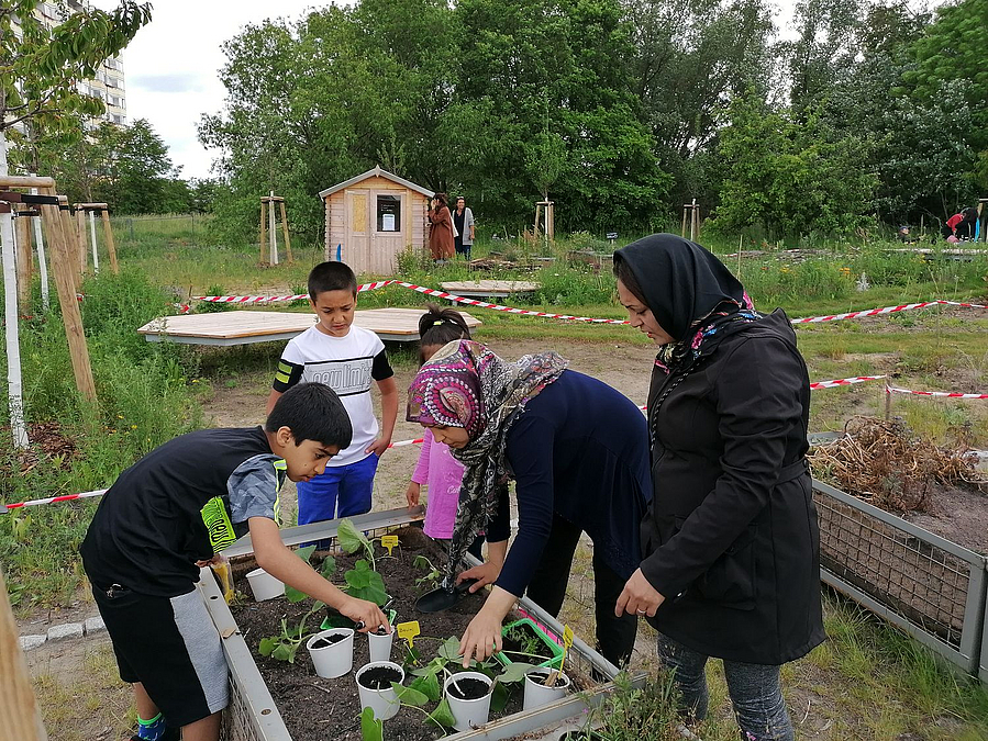 2 muslimische Frauen, Kinder und Jugendliche am Hochbeet mit Jungpflanzen