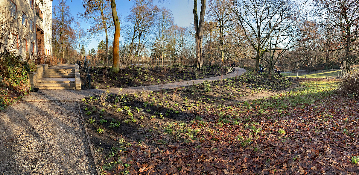 Winterlicher Park mit frisch bepflanztem, kleinen Hang, Treppe und Rundweg