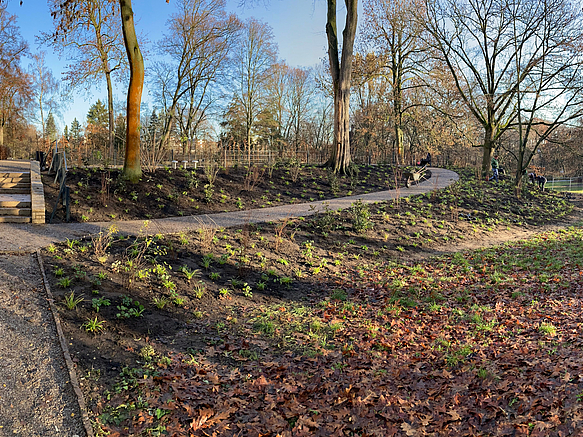 Winterlicher Park mit frisch bepflanztem, kleinen Hang, Treppe und Rundweg