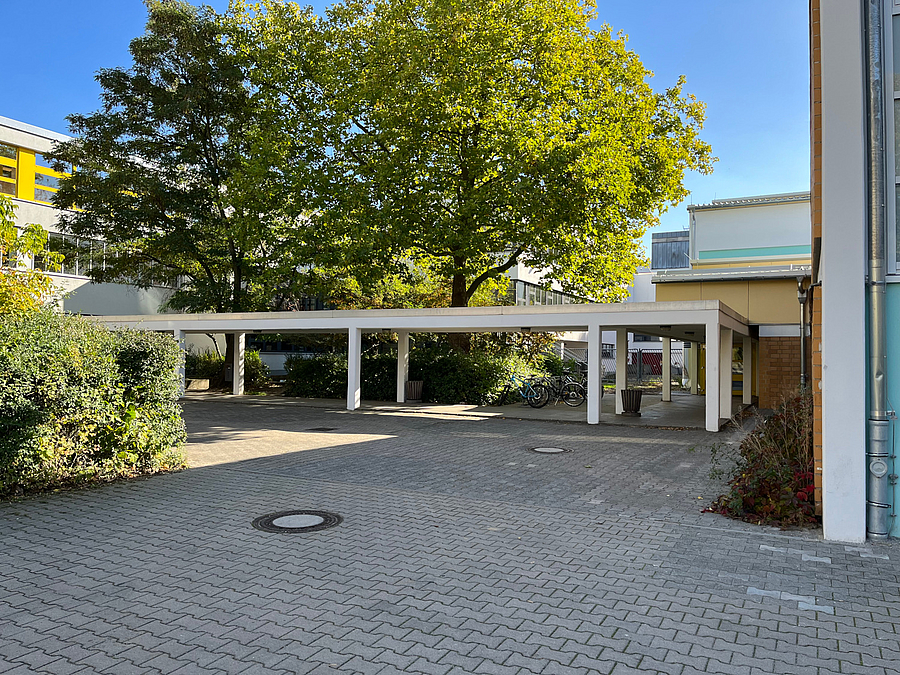 Der überdachte Gang zwischen Sporthalle und Hauptgebäude Überdachter Gang, davor Platzfläche, herbstliche Platane