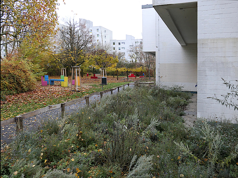 Rund um das Hauptgebäude der Oberschule wurde eine insektenfreundliche und klimagerechte Pflanzung angelegt Herbstliches Beet, Baumpflanzungen, bunte Sitzgruppen