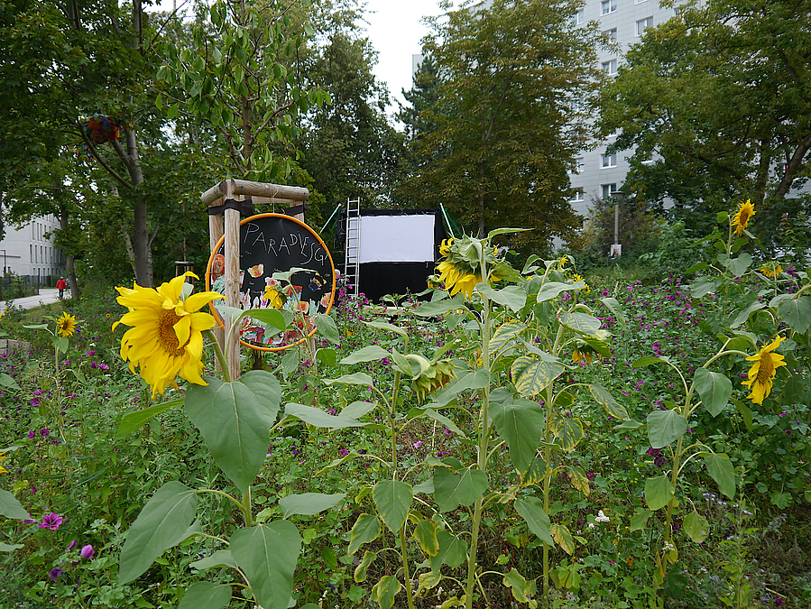 Beet mit Sonnenblumen und anderem, junger Baum mit Schild "Sonnengarten"