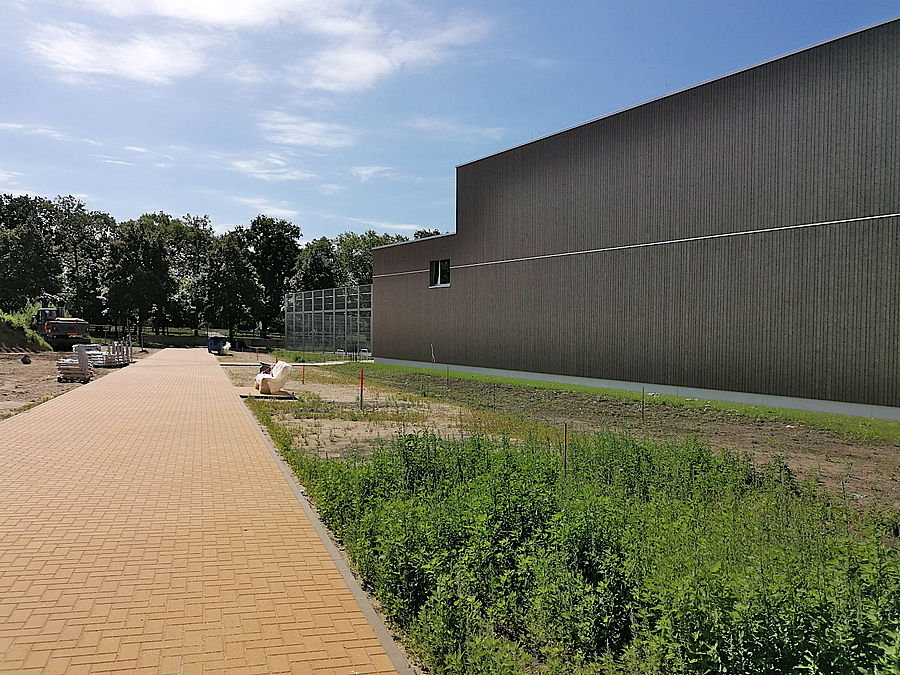 Der Parkweg über die Werneuchener Wiese an der neuen Sporthalle ist fast fertig Weg über freie Fläche vorbei an großer Holzfassade