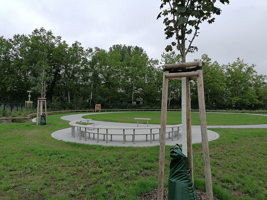 Rondell mit runder, Stufensitzbank, Rasen, junge Bäume