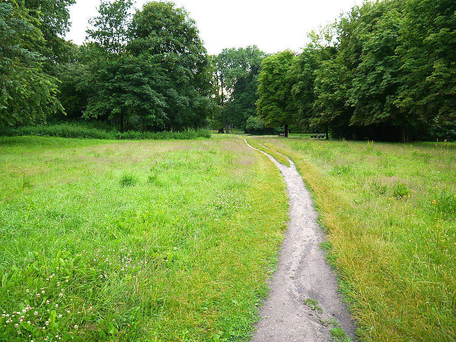 Trampelpfade auf dem Areal des 2. Bauabschnitts
