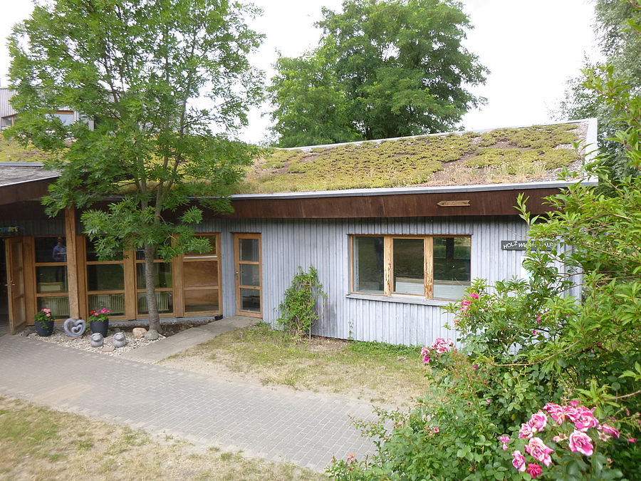 Flacher Holzbau mit Gründach