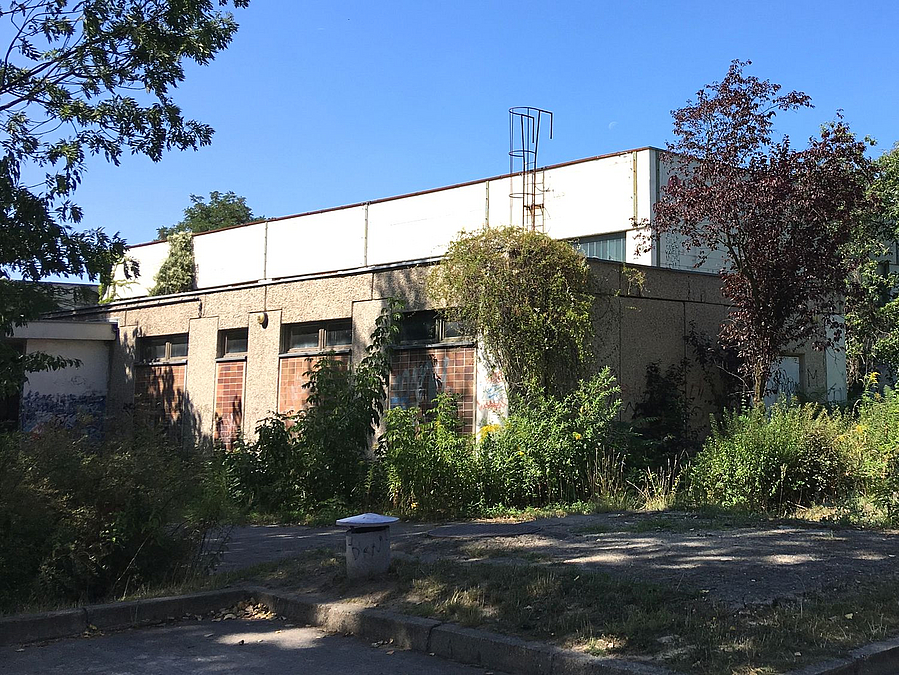 Abgestufter Baukörper mit unterschiedlichen Fassadenmaterialien, davor wildes Grün, Betonfläche
