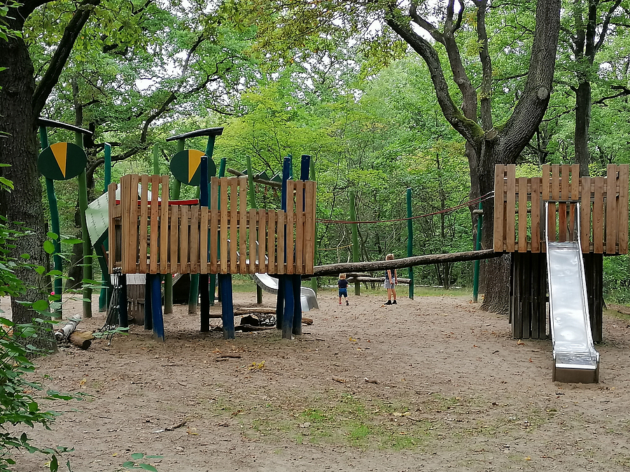 Steg im Wald mit Rutsche