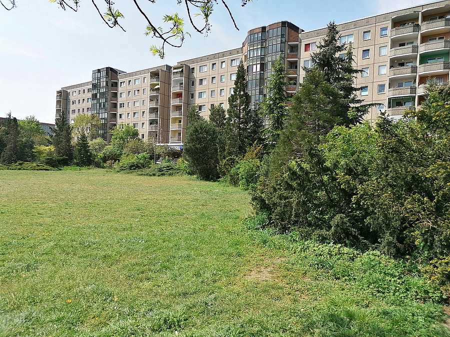 Plattenbauten, Wiese von Bäumen und Hecken gesäumt