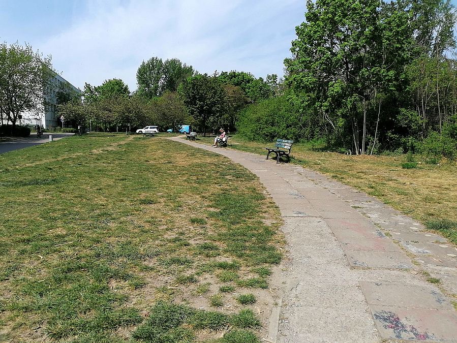 Gebogener Plattenweg, daneben Rasen und Bäume