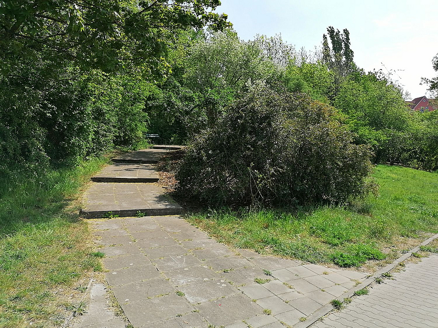 Gebogener gepflasterter Weg führt auf Hügel mit Büschen und Bäumen