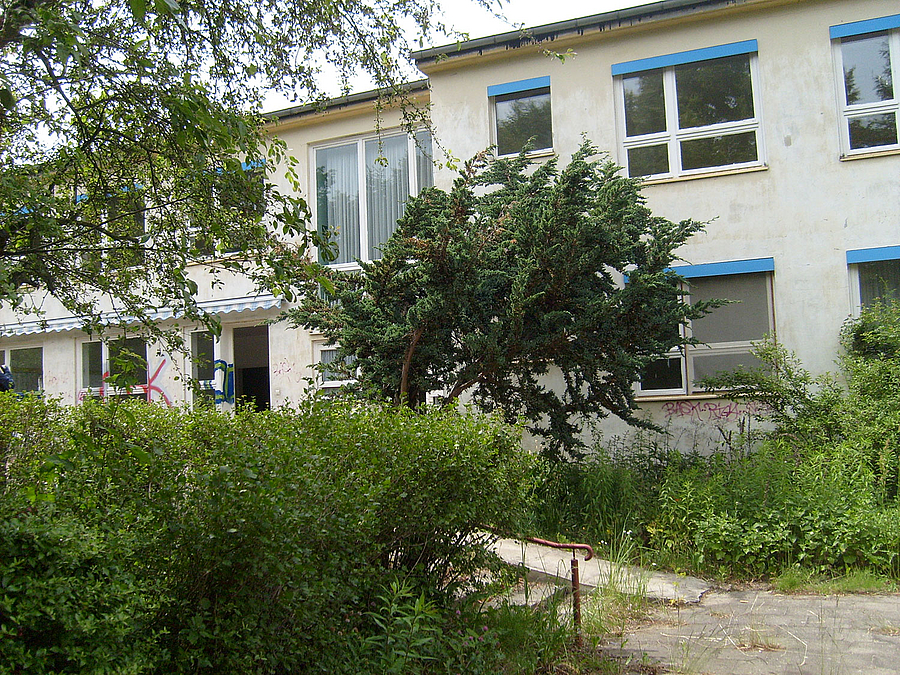 Der Garten ist verwildert