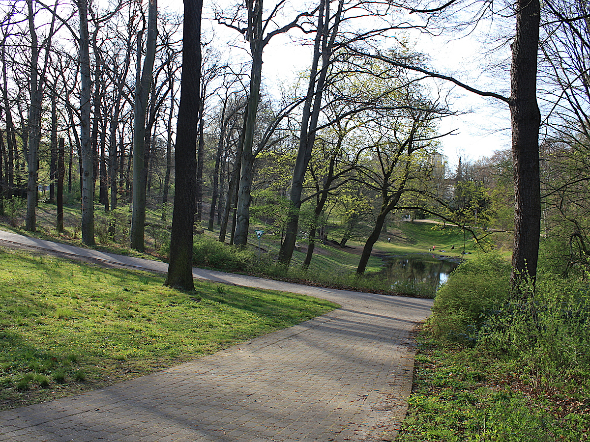 Waldweg führt auf kleinen Tümpel in Senke