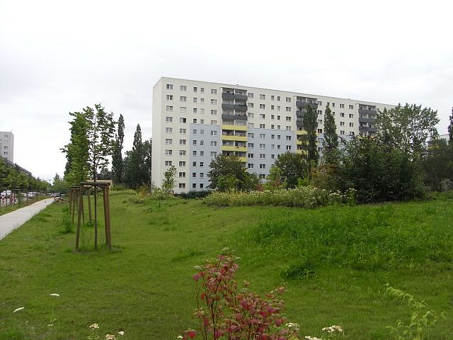 Baumpflanzungen und Grünflächen
