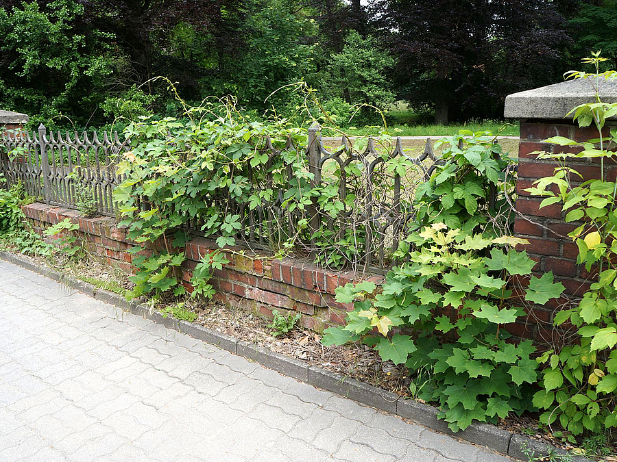 Sanierungsbedürftige Parkeinfriedung aus der Erbaungszeit
