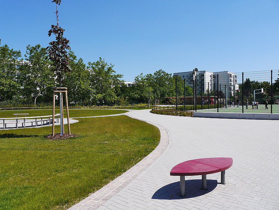 Pflasterflächen, Rasen, junger Baum, rote, linsenförmige Bank