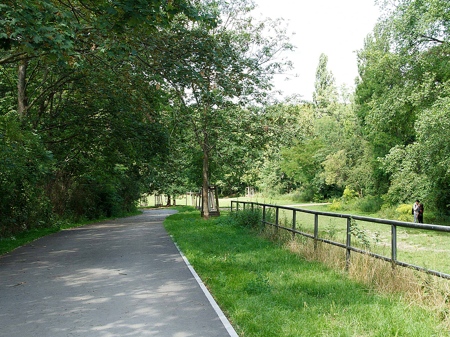 Apshaltierter Weg, links Bäume, rechts Wiese mit Geländer