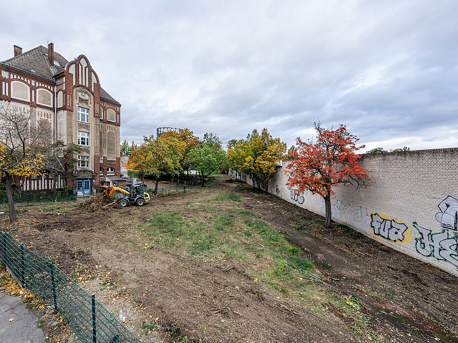 Planierte Fläche mit herbstlichen Laubbäumen, Schulgebäude am Rand