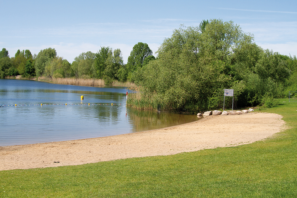 Seeufer mit schmalem Sandstrand und Wiese