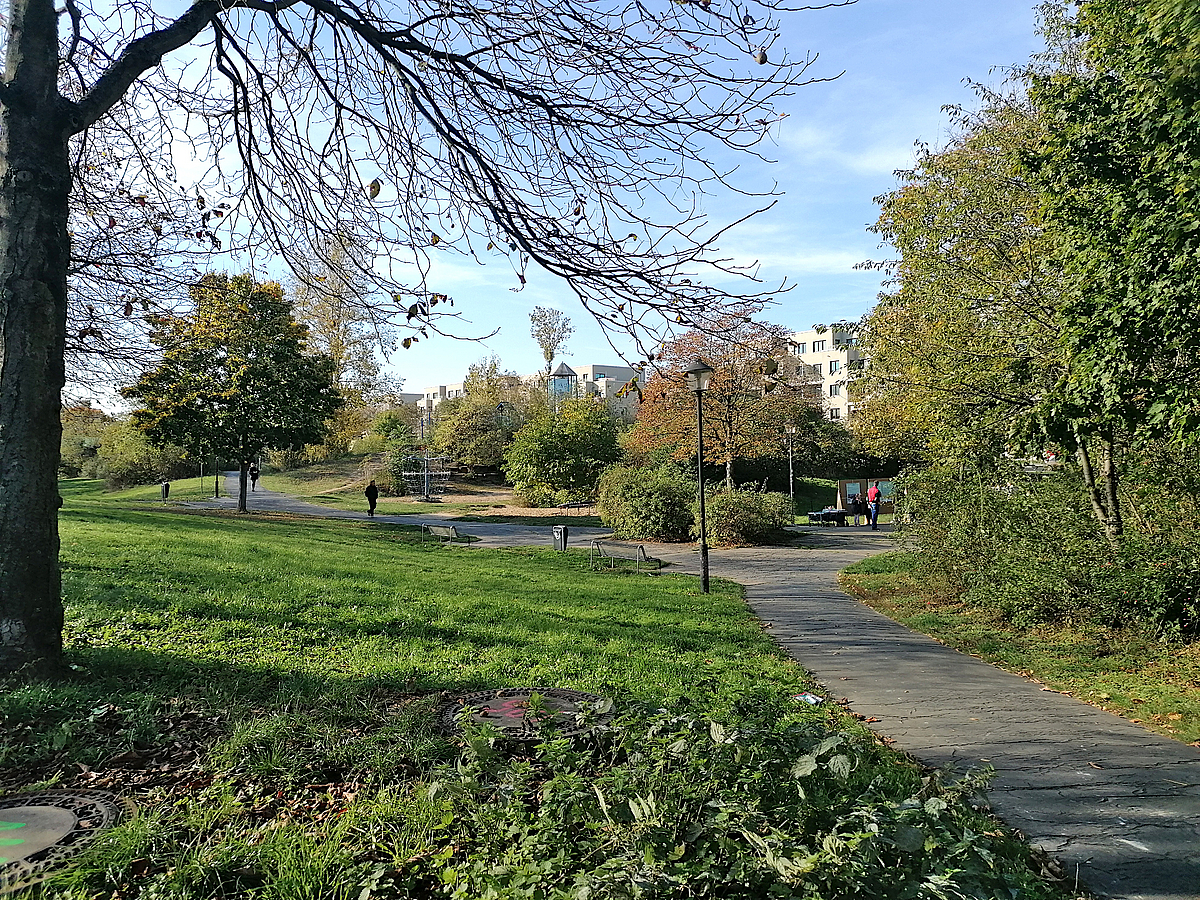 Park im Frühherbst