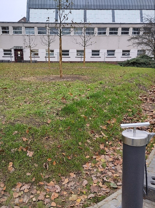 Wiese mit jungen Bäumen vor Sporthalle, große Standluftpumpe