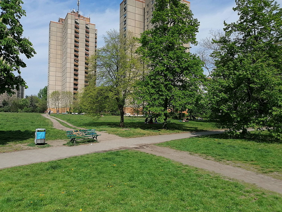 Sich kreuzende Trampelpfade vor 2 Wohntürmen, Bäume