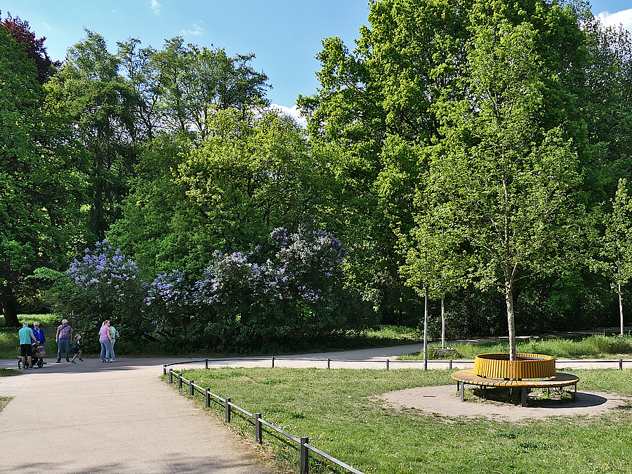 Der südliche Bereich wurde im 2. Bauabschnitt bearbeitet Park mit Rundbank um Baum
