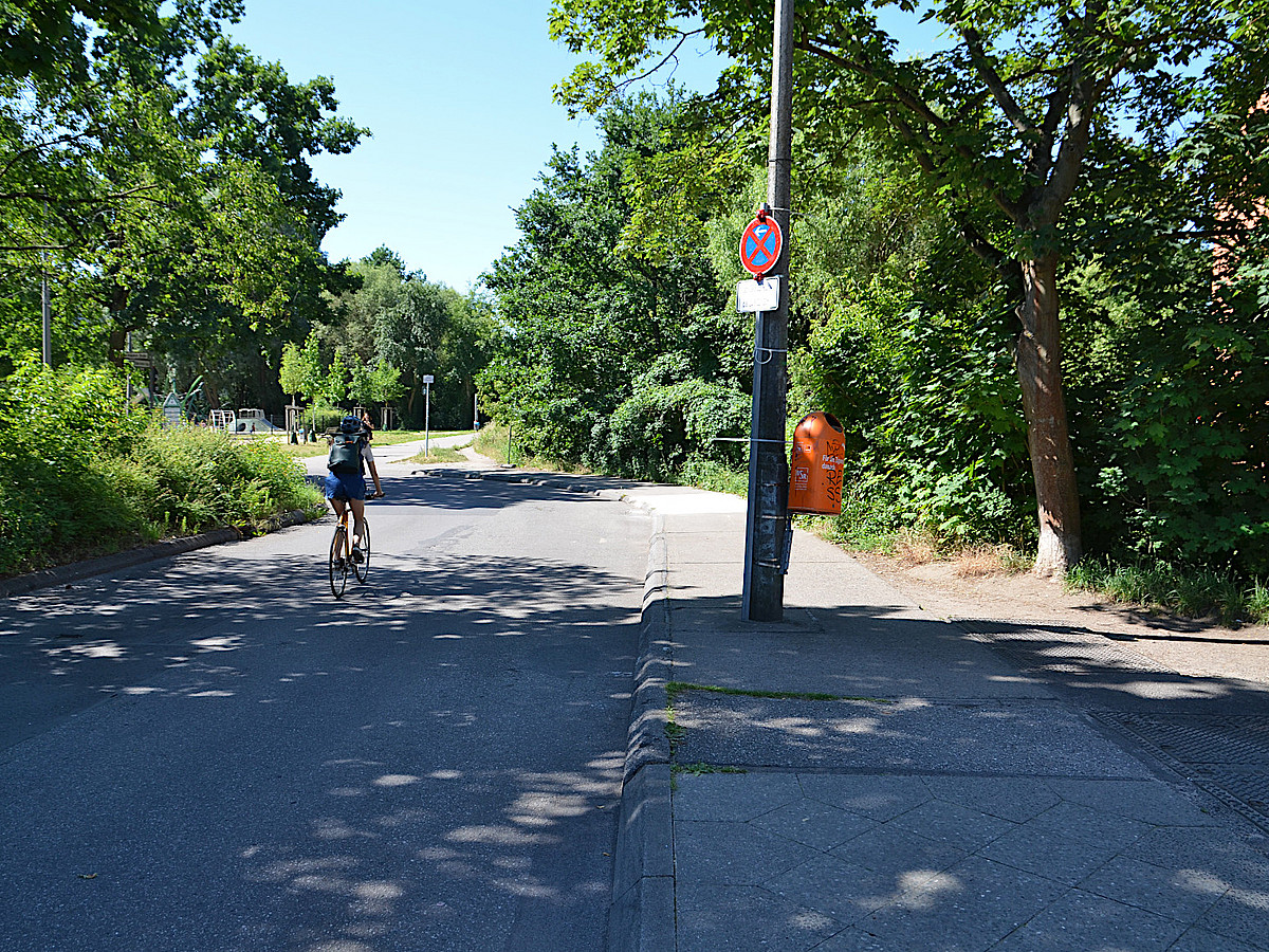 Radfahrer auf geknickter Straße mit starkem Randbewuchs