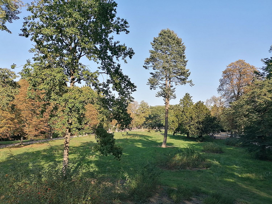 Blick vom Aussichtshügel in Richtung Schlossparterre und Kirche