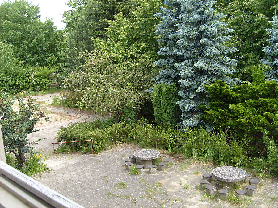 Große Bäume prägen das Außengelände