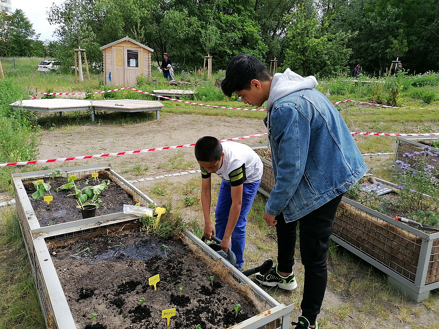 Jugendlicher und Junge am Hochbeet mit Jungpflanzen