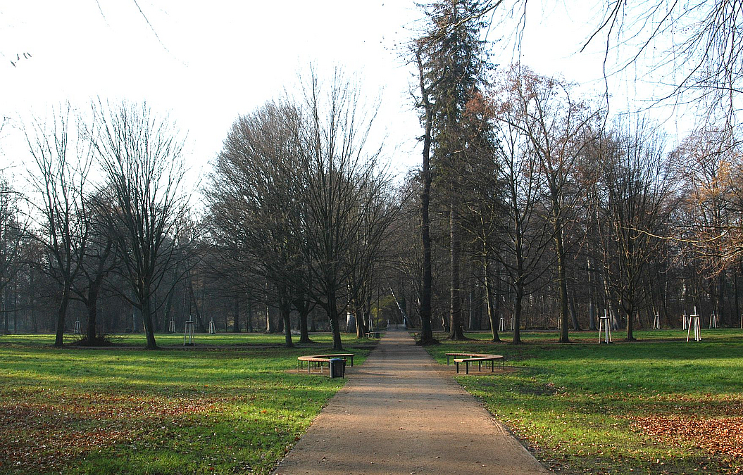Die erneuerte Lindenallee im nördlichen Holländischen Garten Weg im Park in der vegetationsarmen Zeit