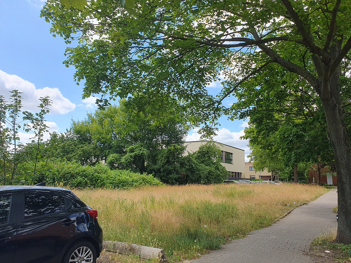 Parkender PKW, Wiese, Gehölze, dahinter flache Gewerbegebäude