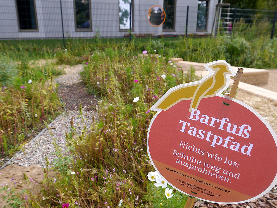 Schild Barfuß-Tastpfad mit Paradiesvogel-Logo, Wildwiese, Weg aus unterschiedlichen Materialien