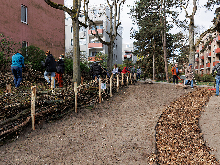 Hecke und Hackschnitzelweg