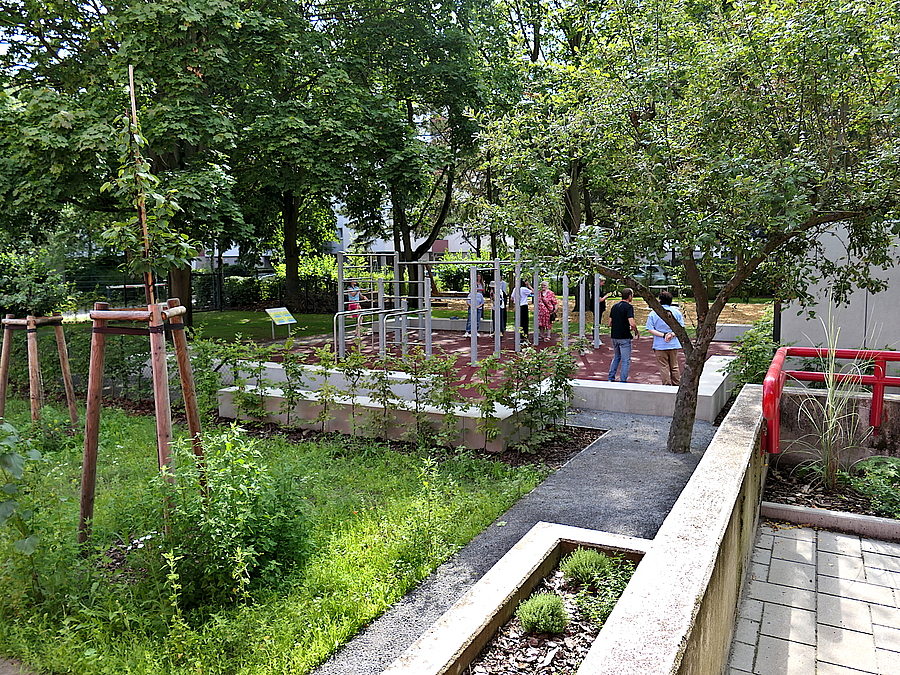 Mauern und Rampen mit Bepflanzung, junge Obstbäume, Calisthenics-Anlage
