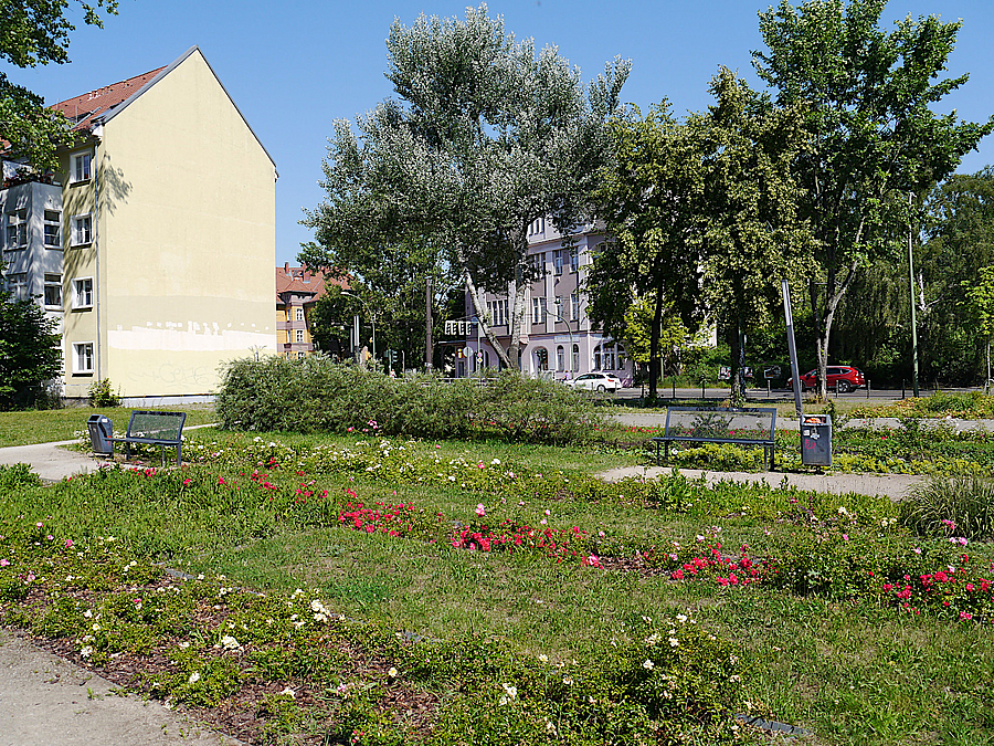 Platz mit Rosenbeeten und Bänken, dahinter Altbauten