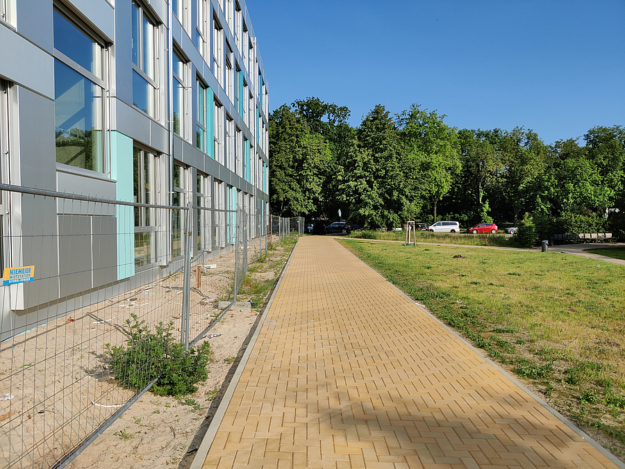 Der Weg zwischen dem Lenné-Meyer-Garten und der temporären Schule Moderne Fassade, Bauzaun, gelber Pflasterweg, Wiese