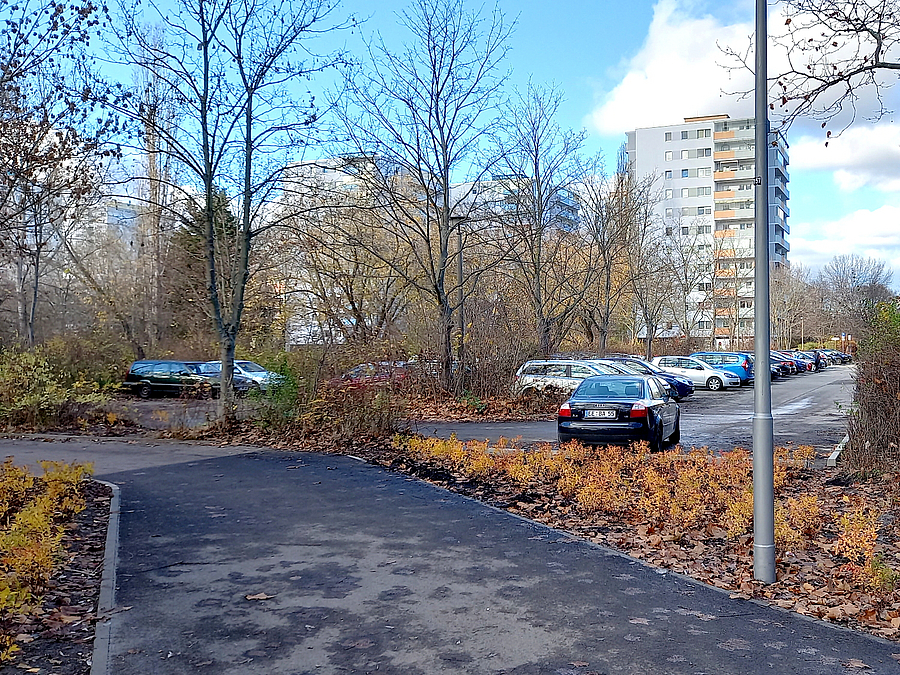 Frisch geteerter Weg, Grünstreifen im Winter, dahinter Parkplatz