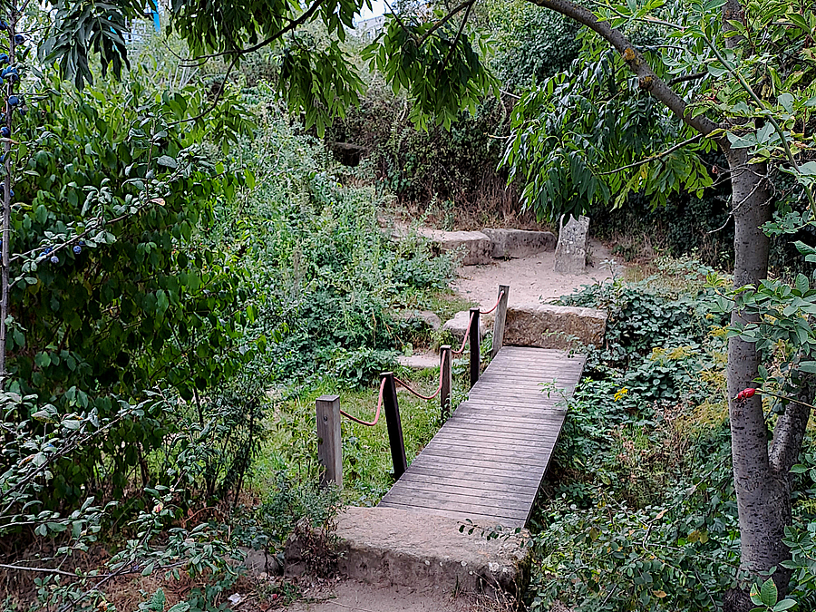 Holzbrücke über begrünten, kleinen Graben