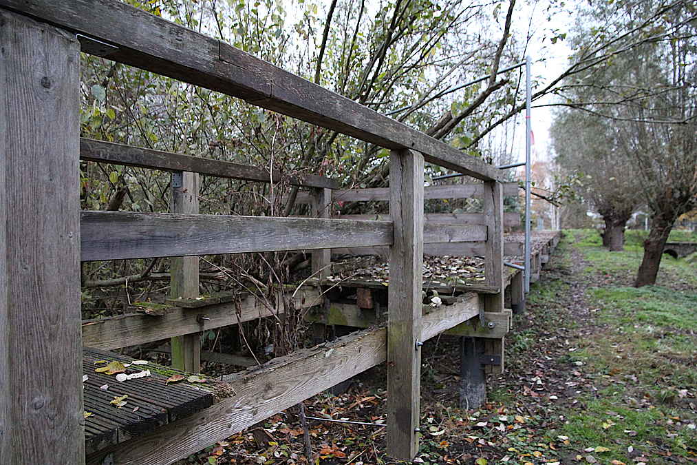 Maroder Steg auf baumbestandener Wiese