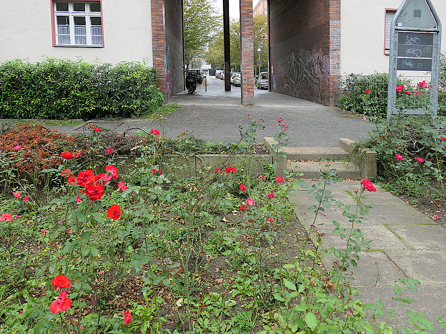 Plattenweg führt auf Tor in Wohnbebauung der 1920er-Jahre, gesäumt von Rosen