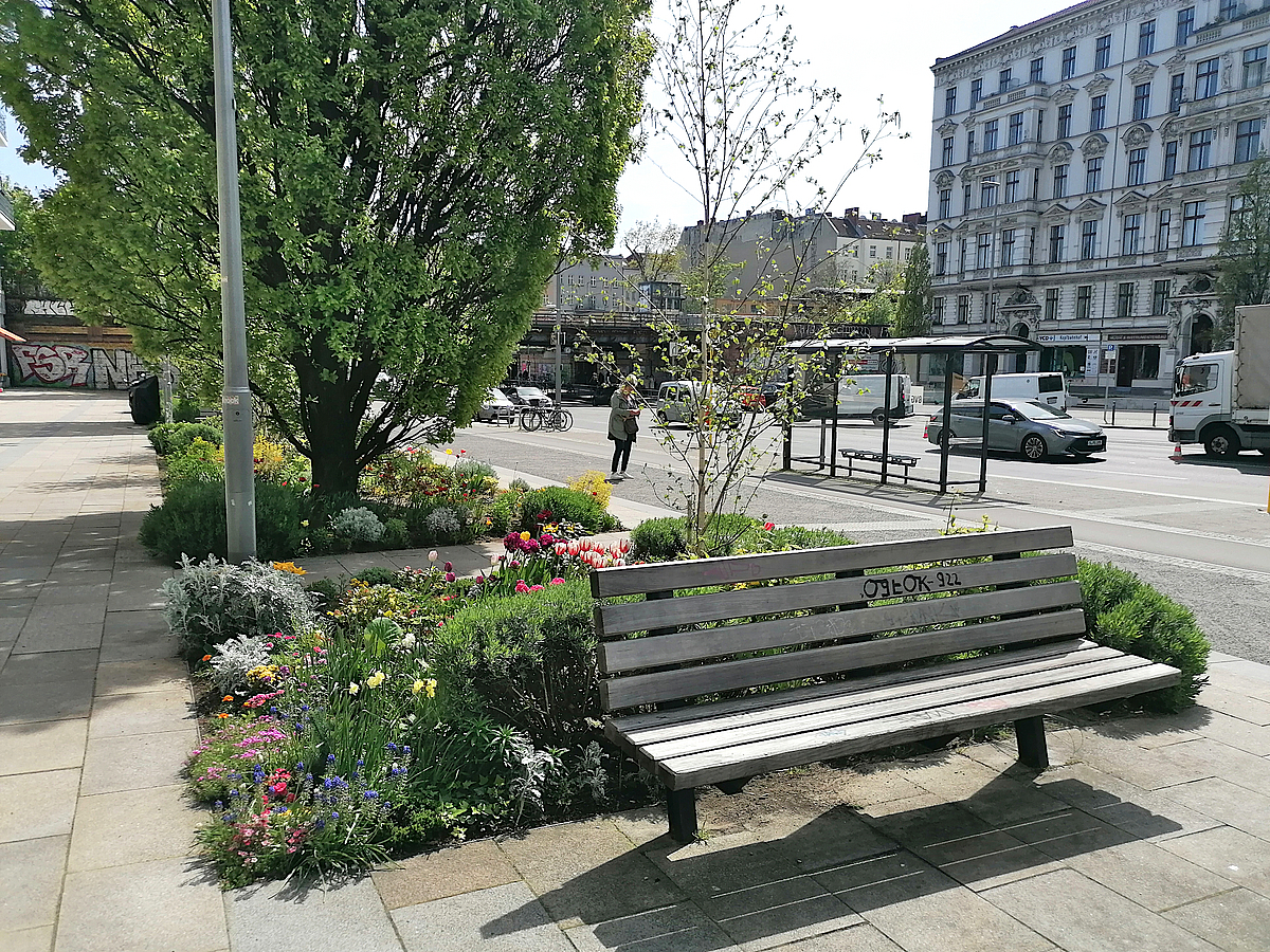 Beet und Pappel auf breitem Gehweg, Bank