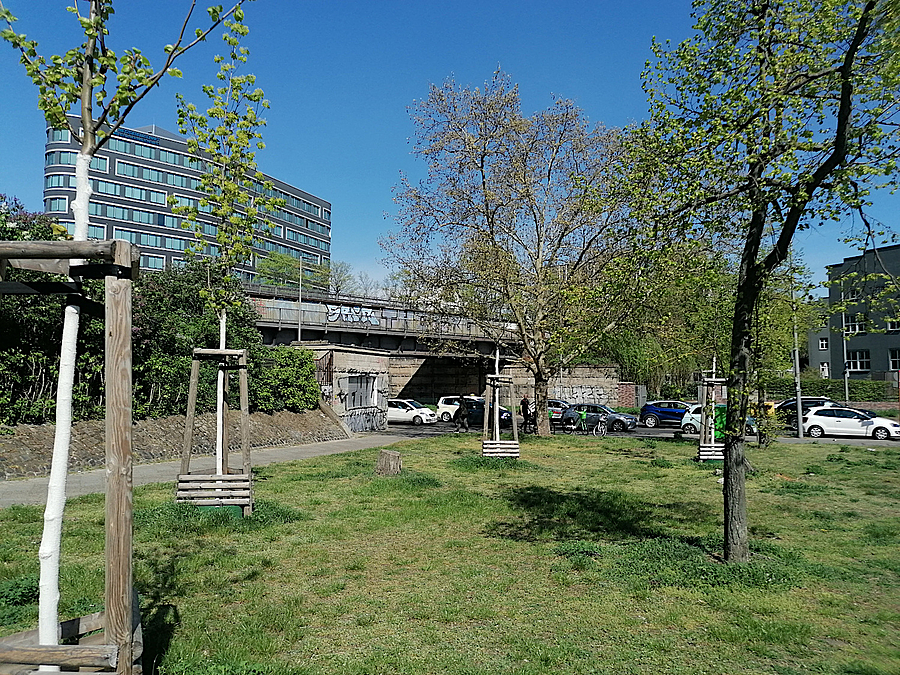 Blick über Grünfläche auf Brücke und Hochhaus